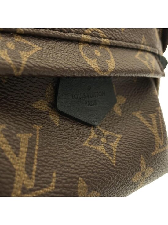 Louis Vuitton Monogram Palm Spring Backpack Mini Sac Brown Marron main image 6